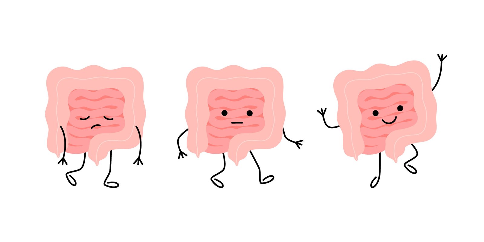 Intestino Sano y Vitalidad