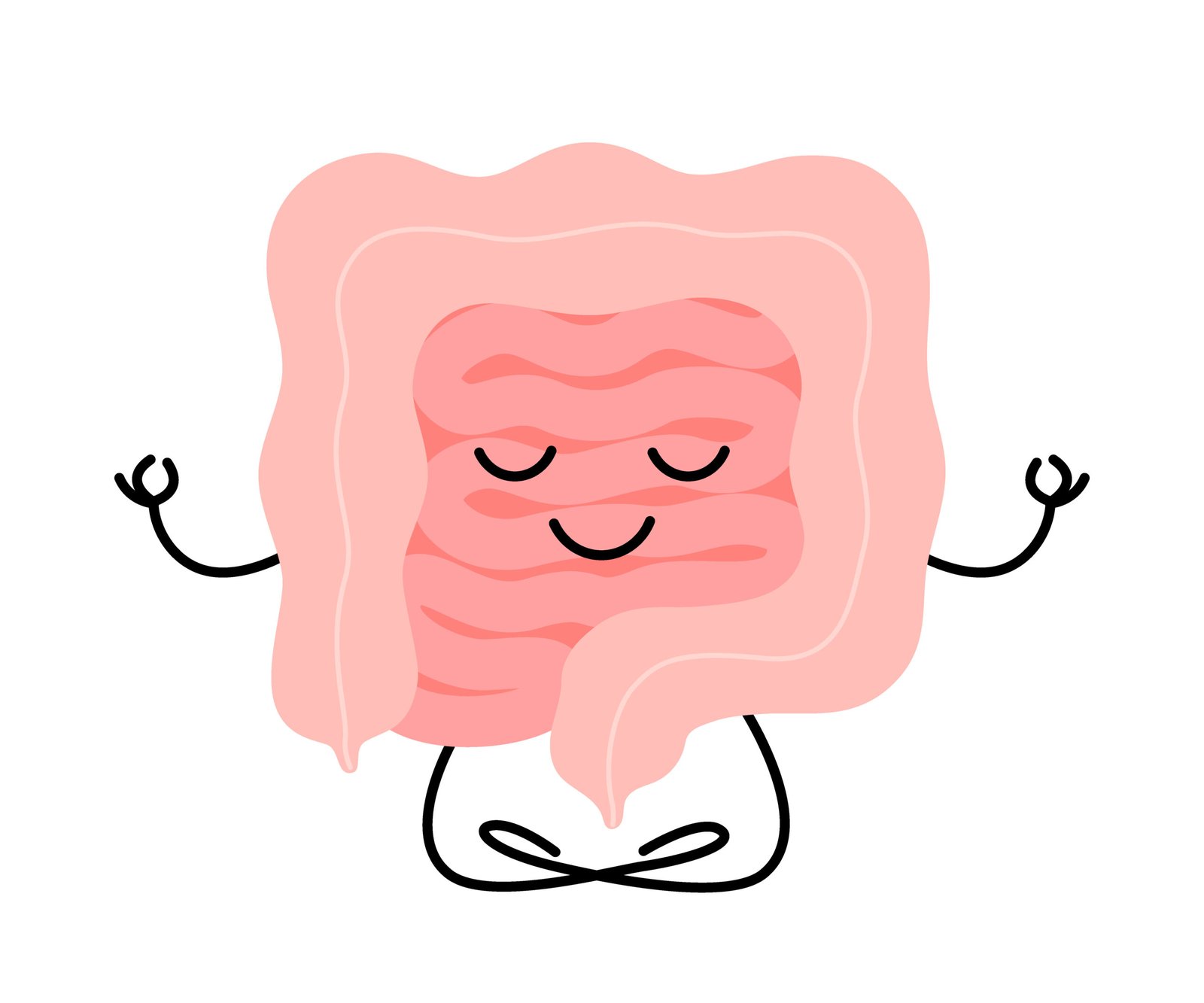 Ilustración de un intestino sano y equilibrado