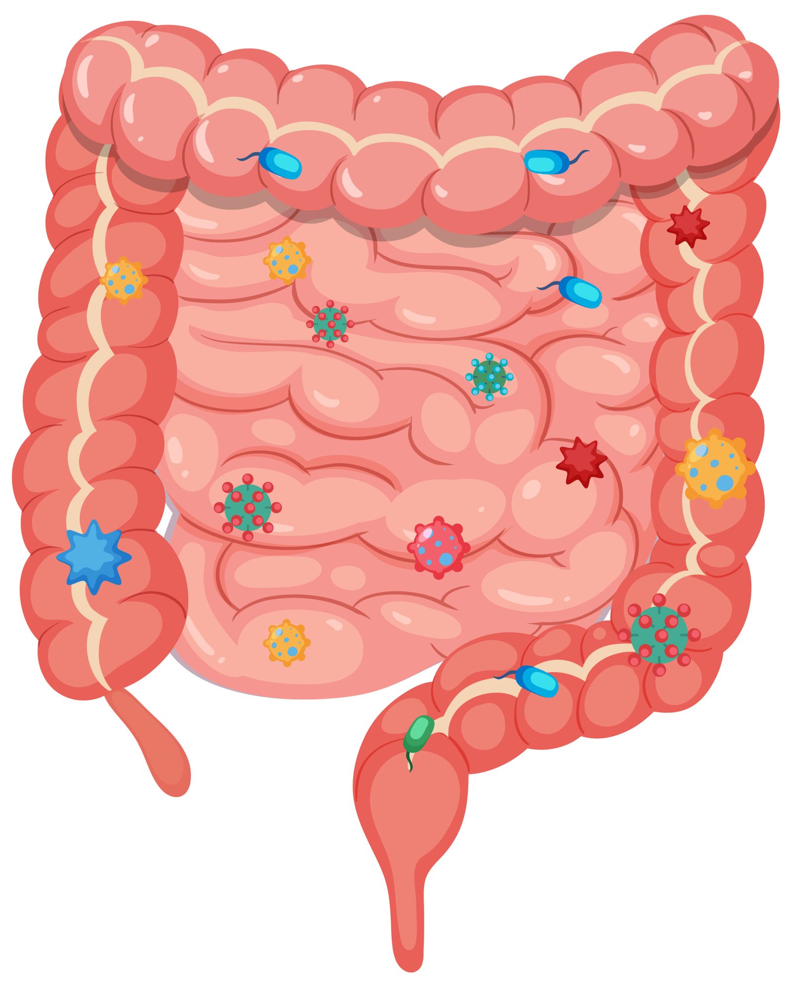 Ilustración de intestino sano en equilibrio